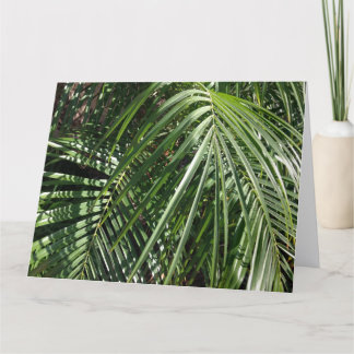 Handflatan Fronts fin Art Nature Photography Kort