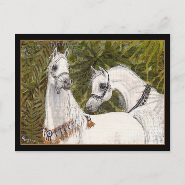 Handflatan Grove Arabiska vykort för häst (Framsida)