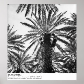 Handflatan i Handflatan-öknen av Ansel Adams Poster