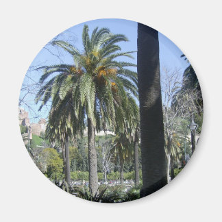Handflatan i Malaga Magnet