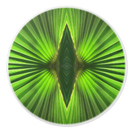 Handflatan Life | Grönt Handflatan Frond Knopp