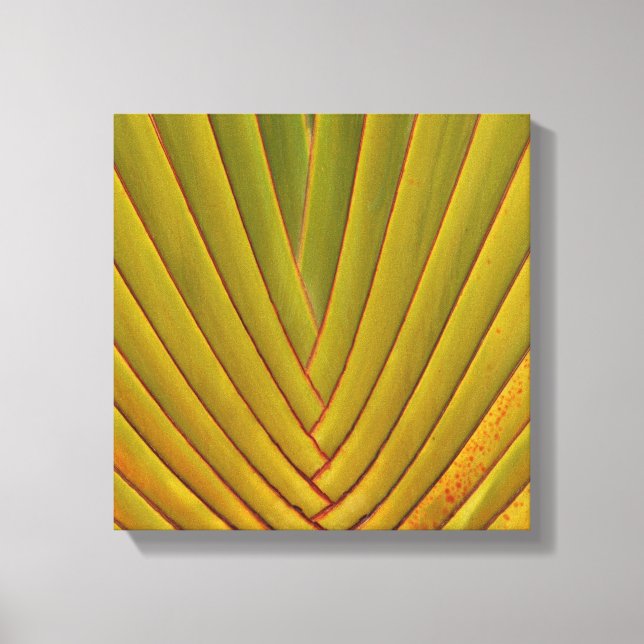 Handflatan Löv Canvastryck (Framsida)