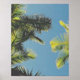 Handflatan Löv Foto Tropical Summer Himlar Retro V Poster