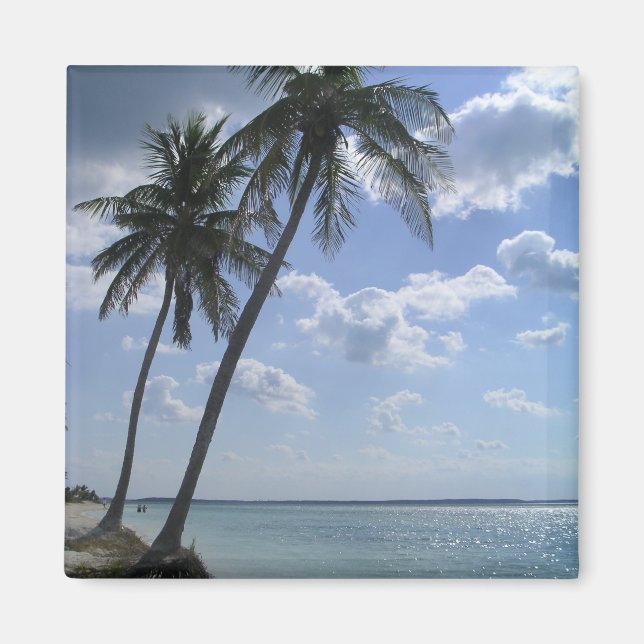 Handflatan Magnet 2 (Framsidan)