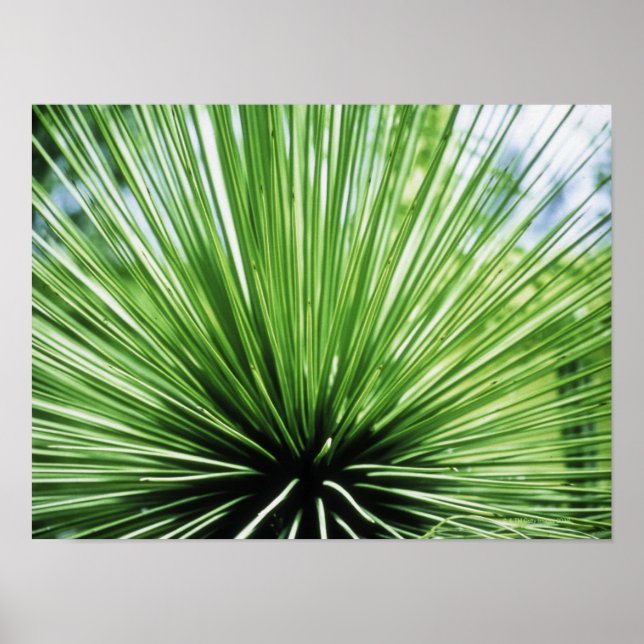 Handflatan, nära poster (Framsidan)