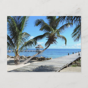 Handflatan och Pier i Belize Vykort