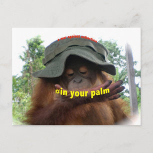 Handflatan Oil Orangutan Conservation Vykort