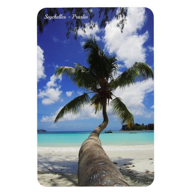 Handflatan på Seychellerna, Praslin Magnet (Vertikal)