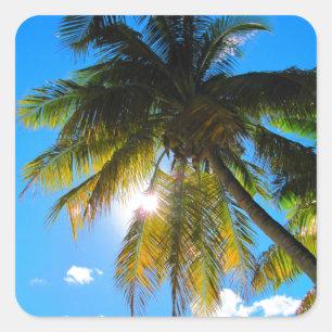 Handflatan Paradise Blå himmel Sunshine Fyrkantigt Klistermärke