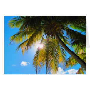 Handflatan Paradise Blå himmel Sunshine Hälsningskort
