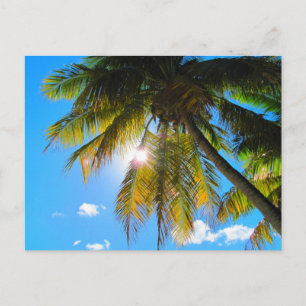 Handflatan Paradise Blå himmel Sunshine Vykort