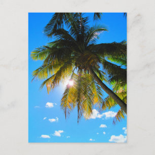 Handflatan Paradise Blå himmel Sunshine Vykort
