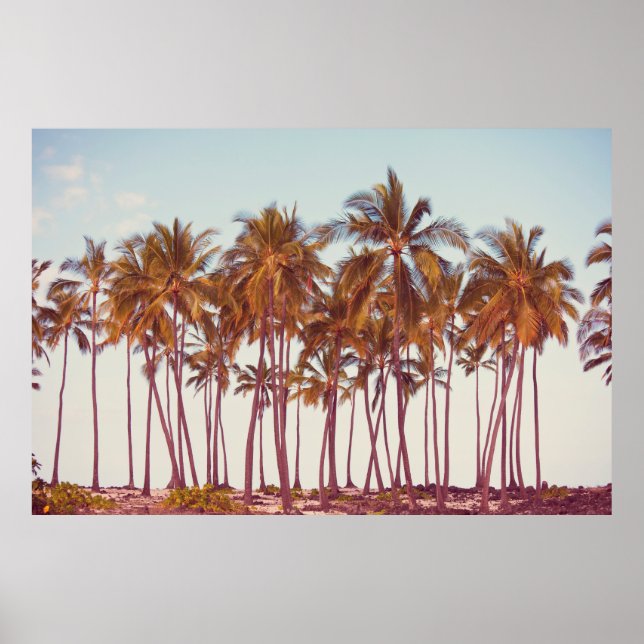 Handflatan-plantering Poster (Framsidan)