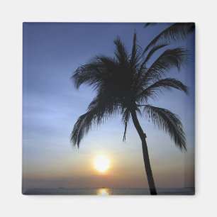handflatan sunset magnet