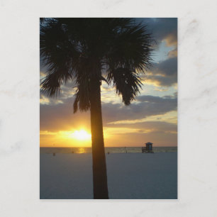 Handflatan Sunset Vykort