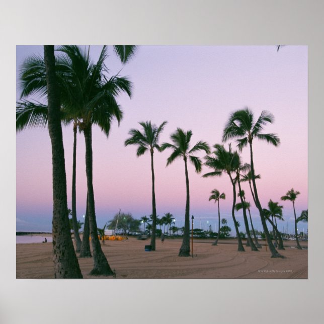 HANDFLATAN TRÄD 2 POSTER (Framsidan)