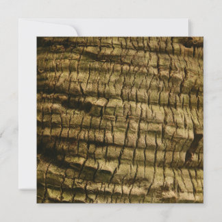 Handflatan Träd Bark