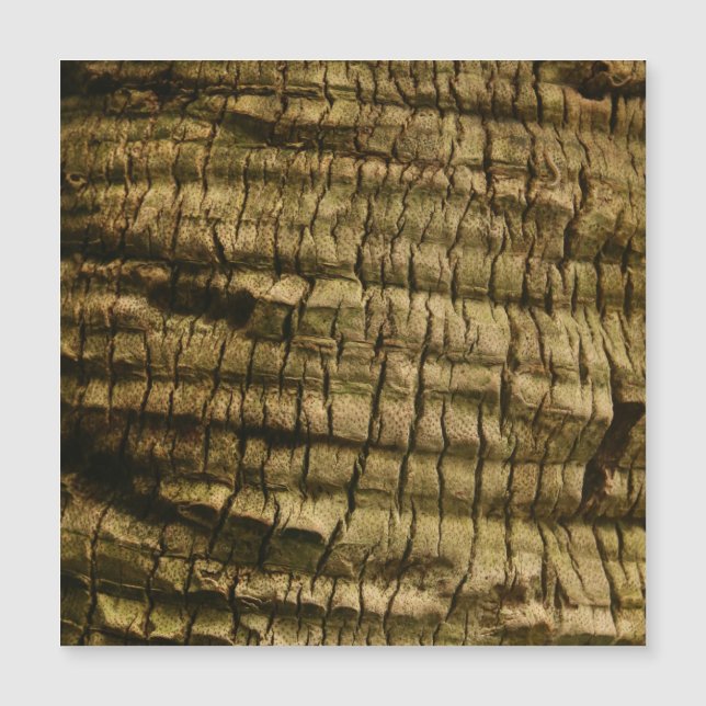Handflatan Träd Bark (Framsida)