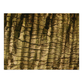 Handflatan Träd Bark Fototryck