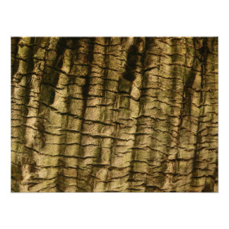 Handflatan Träd Bark Fototryck