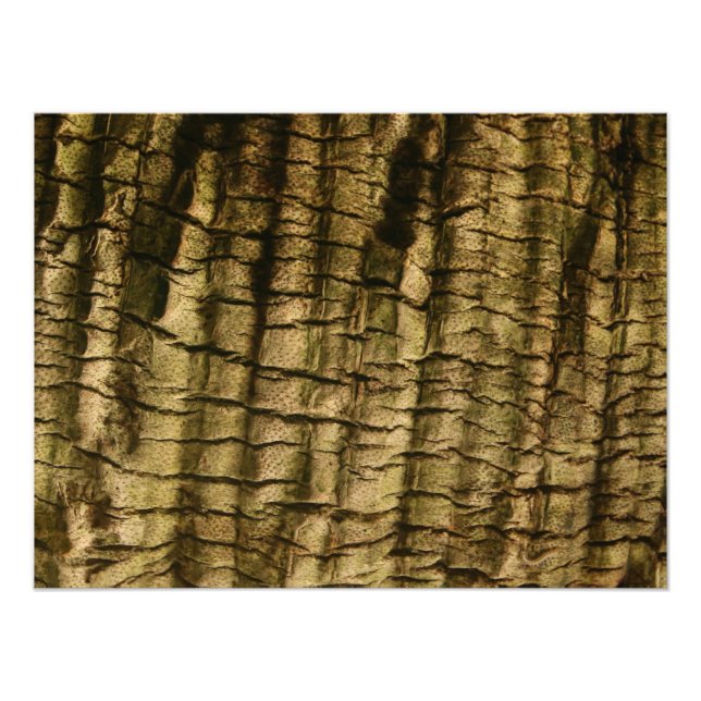 Handflatan Träd Bark Fototryck (Framsidan)