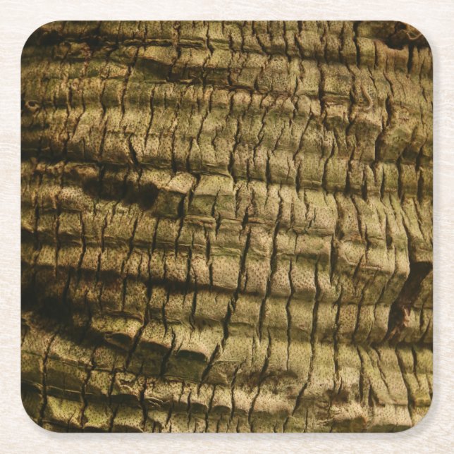 Handflatan Träd Bark Underlägg Papper Kvadrat (Framsidan)