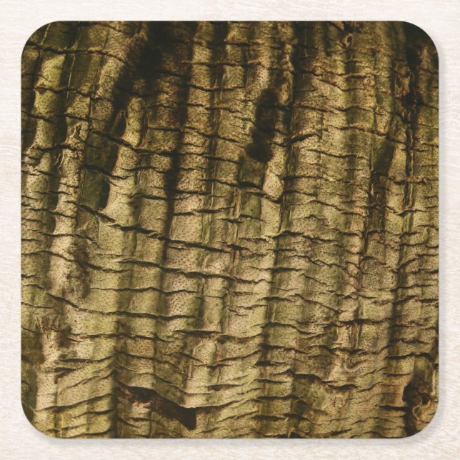 Handflatan Träd Bark Underlägg Papper Kvadrat (Framsidan)