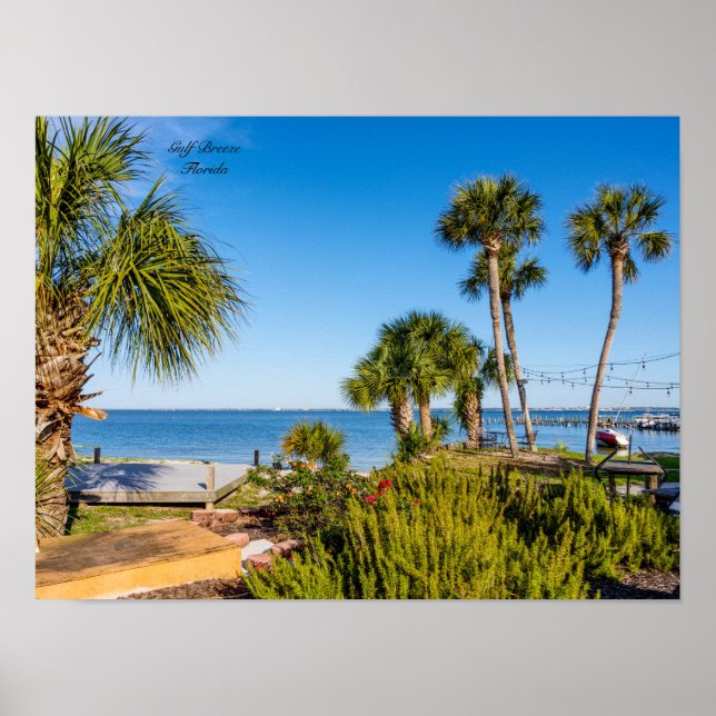 Handflatan Träd Bayside Morgon Poster (Framsidan)
