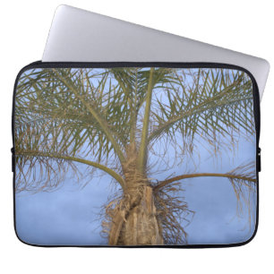 Handflatan Träd Blå himmel Laptop sleeve