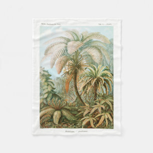 Handflatan Träd Ernst Haeckel Fleecefilt