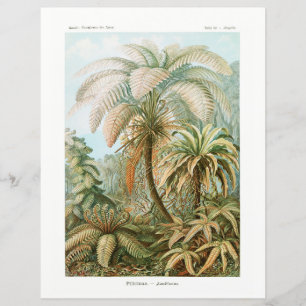 Handflatan Träd Ernst Haeckel-vävnadspapper