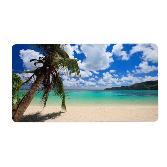 Handflatan träd fraktsedel (Framsidan)