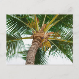 Handflatan Träd från Ned nedanför Vykort