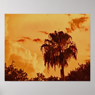Handflatan Träd Golden Hour Poster