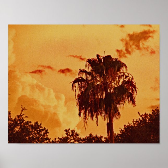 Handflatan Träd Golden Hour Poster (Framsidan)