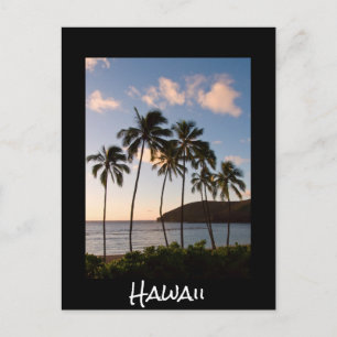 Handflatan träd Hawaii soluppgång med text Vykort