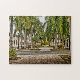 Handflatan Träd Historic Frederiksted US Virgin Is Pussel