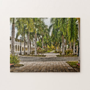 Handflatan Träd Historic Frederiksted US Virgin Is Pussel