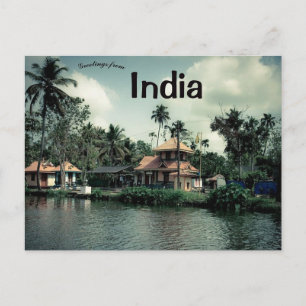 Handflatan Träd i Kerala India Vykort