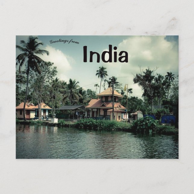 Handflatan Träd i Kerala India Vykort (Framsida)