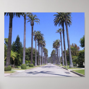Handflatan Träd i Los Angeles Poster