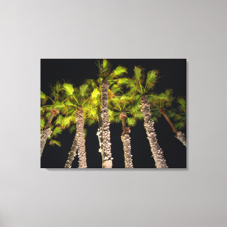 Handflatan Träd i nattfoto - Premium Wrapped Canva Canvastryck
