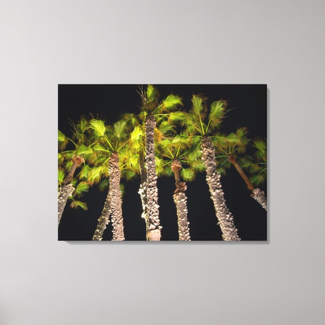 Handflatan Träd i nattfoto - Premium Wrapped Canva Canvastryck (Framsida)