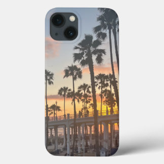 Handflatan Träd i Oceanside California Sunset