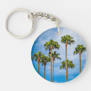 Handflatan Träd i San Diego, Kalifornien