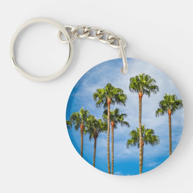 Handflatan Träd i San Diego, Kalifornien (Framsidan)