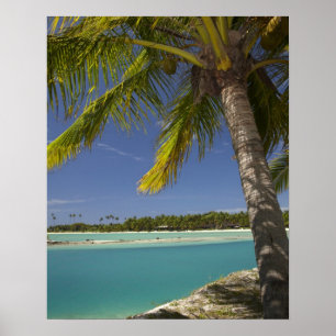 Handflatan träd & lagun, Musket Cove Island Resort Poster