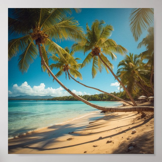 Handflatan Träd längs kusten Poster (Framsidan)