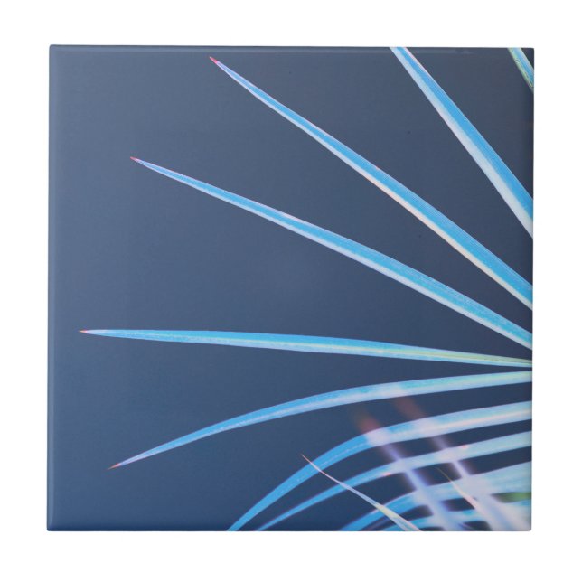 Handflatan Träd Löv Minimalism sketch Kakelplatta (Framsidan)