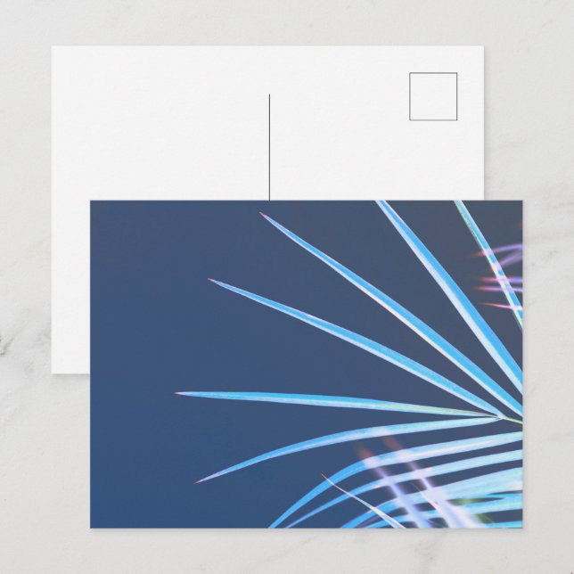 Handflatan Träd Löv Minimalism sketch Vykort (Fram/baksida)